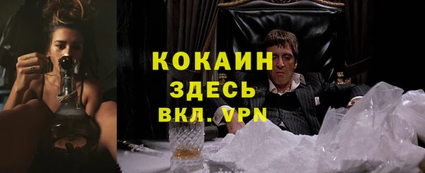 спайс Абаза
