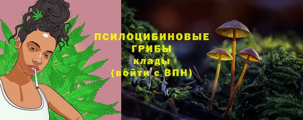 молекула духа Осинники